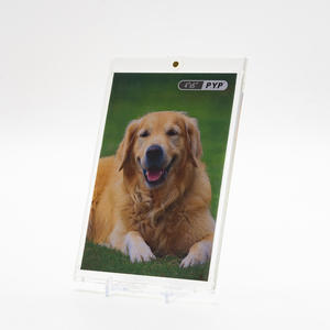 One Touch Magnetic 4x6" Photo Holder UV Protection