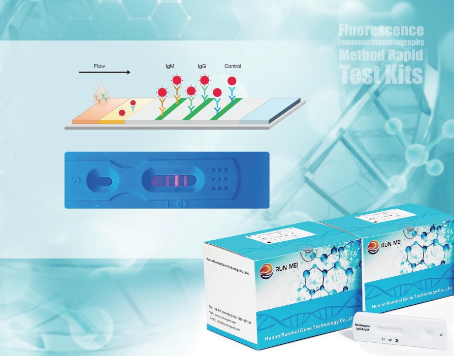 Fluorescence Immunochromatography Method Rapid Test Kits