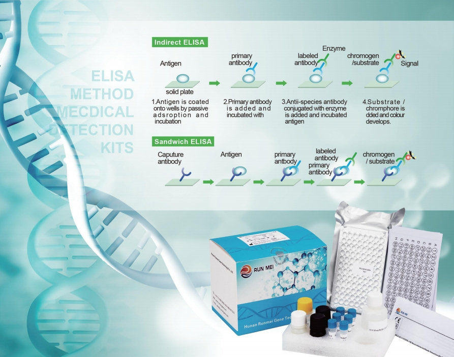Elisa Method Medical Detection Kits