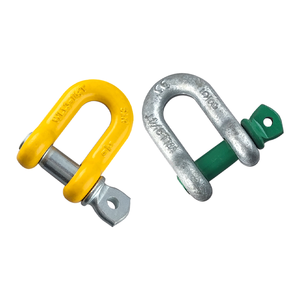 US Type G210 Screw Pin Dee Shackle for Sale