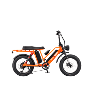 2Fun 20 Inch 500W Full Suspension Fat Tire Off-road Dual Batteries Long Range Adults E Bike For Delivery