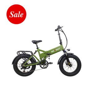 NorwayForest 20 Inch 750W Full Suspension Fat Tire Off Road Adults Folding Electric Mountain Bike