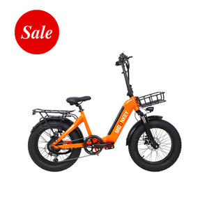 Alani 20 Inch 500W Orange Color Fat Tire Step Through Adults Electric Folding Bike