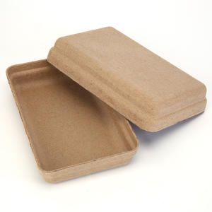 Custom Molded Pulp Boxes | Eco-Friendly Packaging Solution