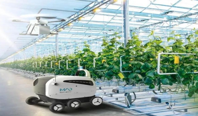 Anatomy of a camera module in smart agriculture! 