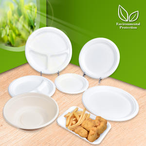 How is the market of Disposable Biodegradable Plates?