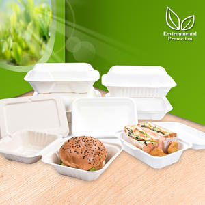 Sunzza 9inch Disposable Sugarcane/Bagasse/Biodegradable Rectangle Box