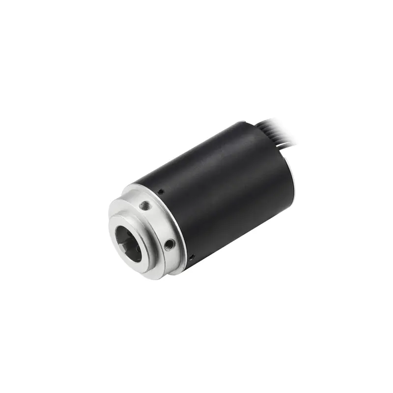 low torque 22mm 12v quiet Replace Maxon Faulhaber brushless dc coreless motor for breathing machine