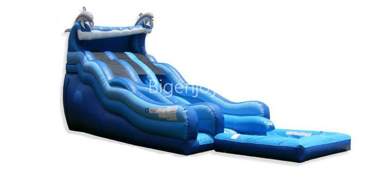 The Riptide Dual Lane Waterslide With Pool For Adult Inflatable Slides Waterslide For Sale