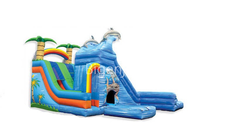 wet wild dual water slide with pool commercial grade inflatable water slide for kids adults