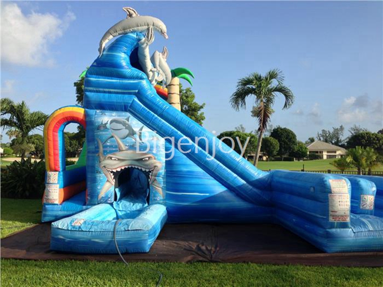 giant inflatable slide Wet and Wild 20ft tall Dual Water Slides for kids